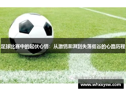 足球比赛中的起伏心情：从激情澎湃到失落低谷的心路历程
